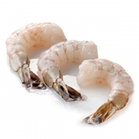 Frozen Shrimps Peeled 16/20 1x1 kg